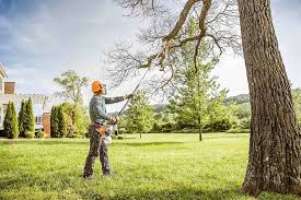 Best Emergency Tree Removal  in Hewlett Harbor, NY