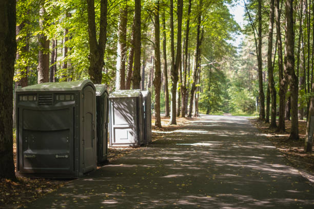 How Our Tree Care Process Works  in  Hewlett Harbor, NY